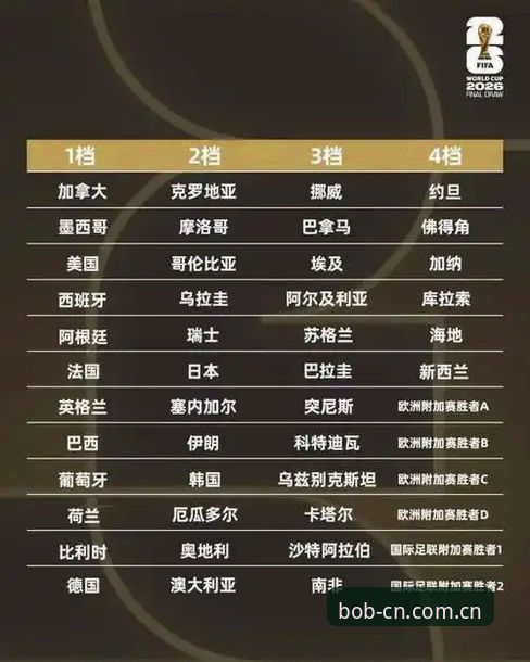 世界杯J组观赛配置指南：从德甲名将名单到bob体育平台登录教程